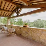Terenzi Hospitality & Wine Scansano