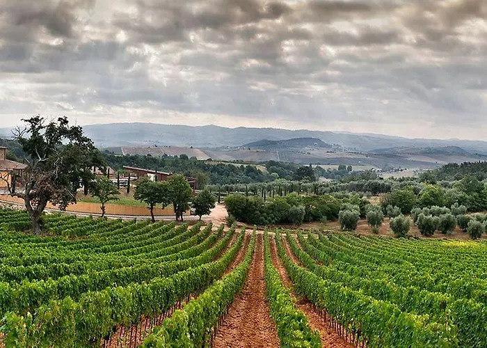 Terenzi Hospitality & Wine בית חווה סקאנסאנו