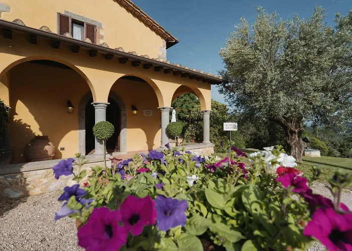 Terenzi Hospitality & Wine *